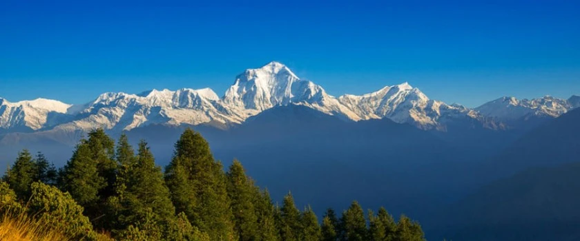 Poon hill trek